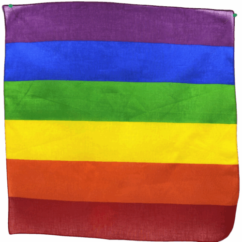 PRIDE - PAÑUELO LGBT 50 X 50