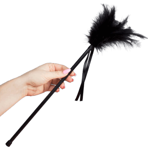 SECRETPLAY - PLUMERO PLUMAS NEGRO 40 CM