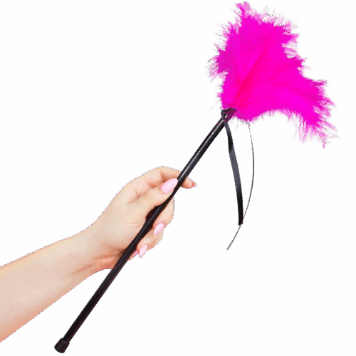 SECRETPLAY - PLUMERO PLUMAS ROSA 40 CM